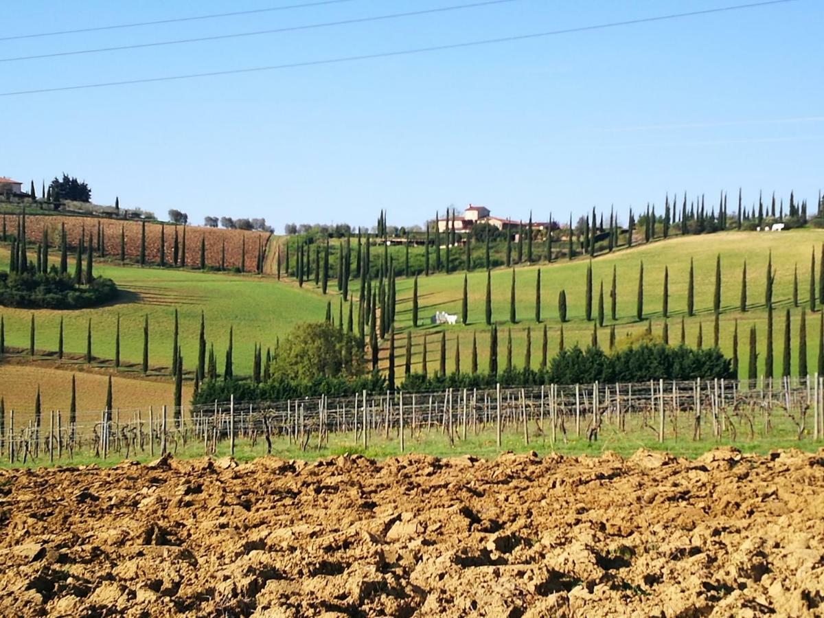 Castello Di Fulignano Ranuccio10 Superior Apartment ซานจีมิญญาโน ภายนอก รูปภาพ